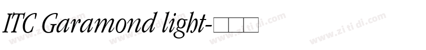ITC Garamond light字体转换